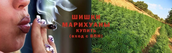 СК Магадан