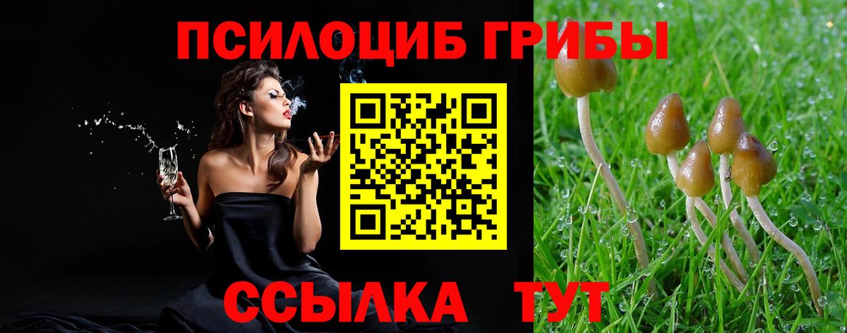 Галлюциногенные грибы Psilocybine cubensis  Псилоцибиновые грибы прущие грибы  Вход с VPN  Минеральные Воды 