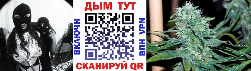 купить наркотики цена  Минеральные Воды  Конопля ГИДРОПОН 